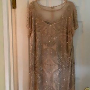 Stunning champagne wedding guest dress